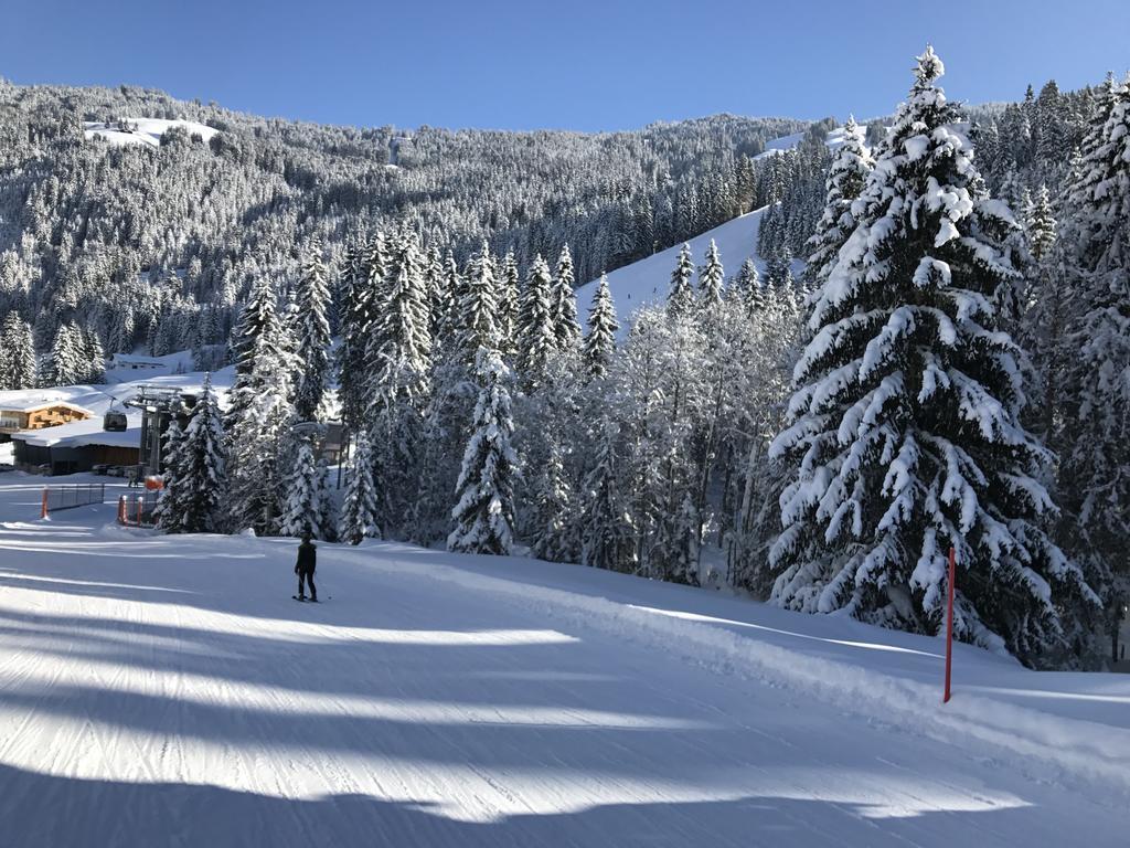 Apartament Christina Saalbach-Hinterglemm
